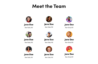 Variant 2 Meet the Team